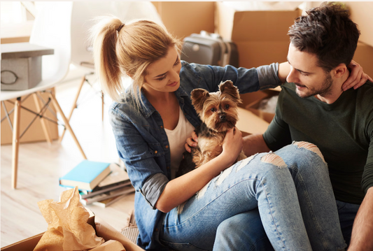 7 Common Dog Health Concerns You Shouldn’t Ignore