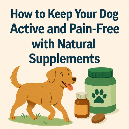 How to Keep Your Dog Active and Pain-Free with Natural Supplements