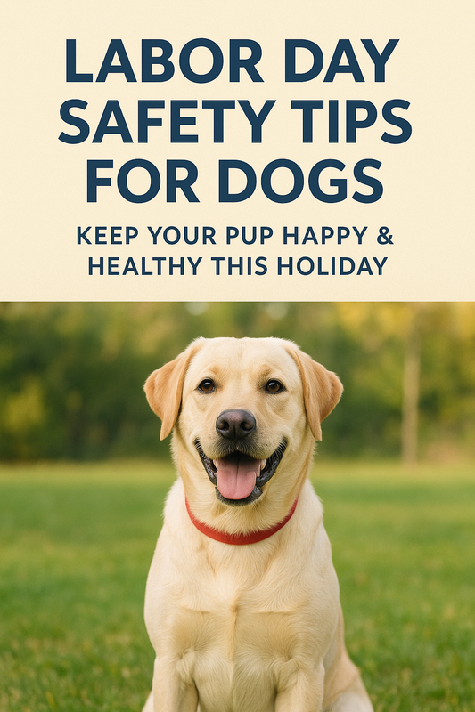 Labor Day Safety Tips for Dogs 🐾