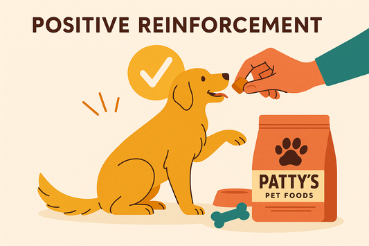 🐾 Positive Reinforcement Techniques for Everyday Dog Behavior