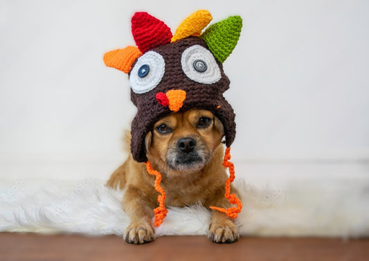 The Ultimate Guide to a Dog-Friendly Thanksgiving