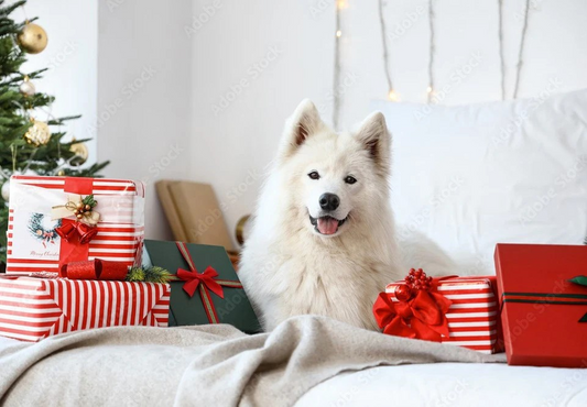 Top 10 Christmas Gifts Your Furry Friend Needs Now