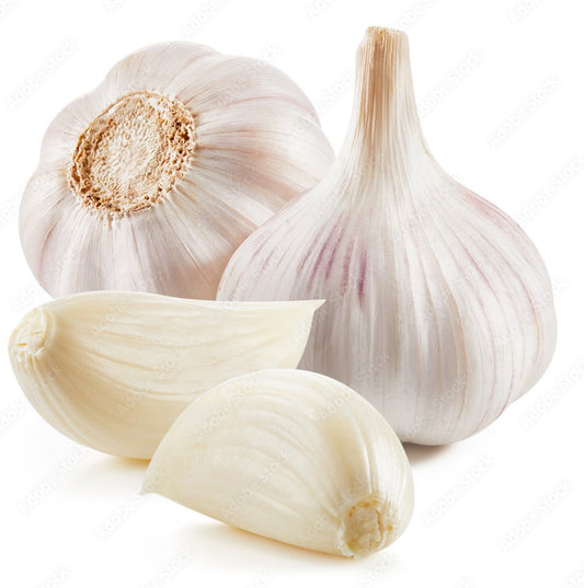 Is Garlic Toxic to Dogs? What Every Pet Parent Needs to Know