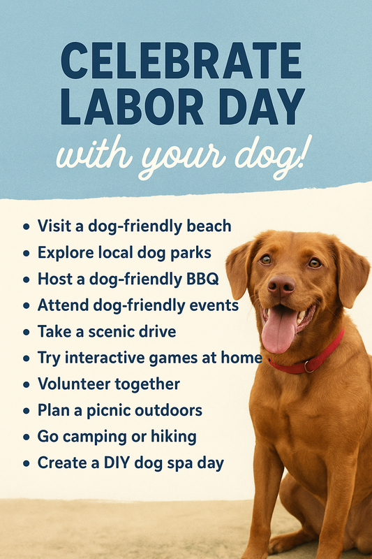 🐾 Celebrate Labor Day with Your Dog: 10 Fun Activities